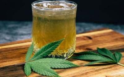 CBD Infused Drinks The Smoke-Free Way to Medicate