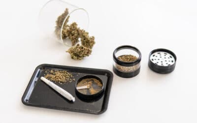 Using A Kief Grinder To Collect Cannabinoids