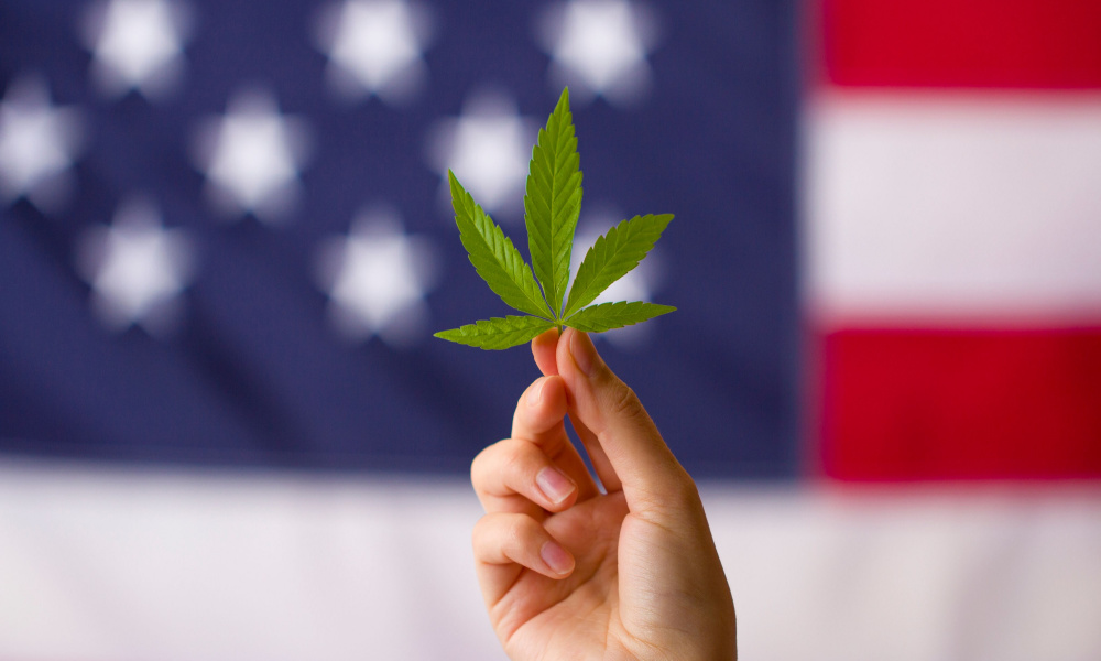 Where Is Weed Legal In The US?